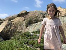 Vignette Rylie Dress - Blush