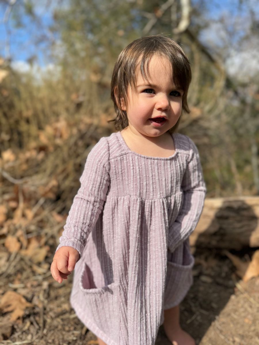 Vignette Rylie Dress- Lavender