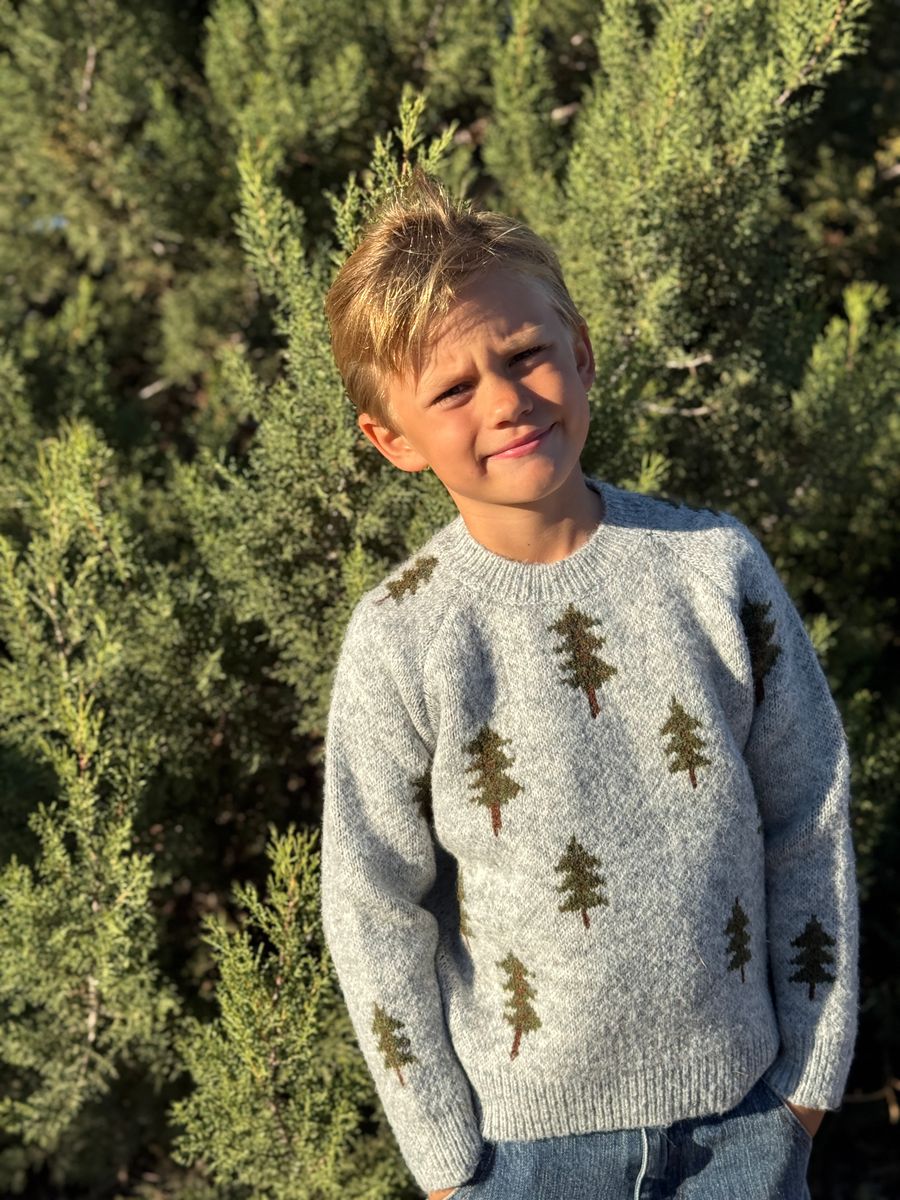 Me & Henry Woody Sweater