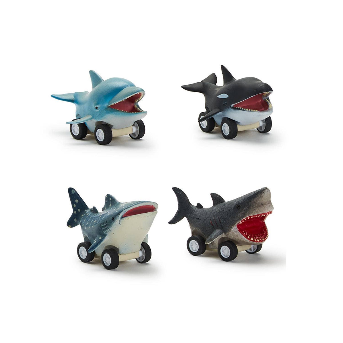 Cupcakes & Cartwheels by Two's CompanyReef Racers Fish Pull Back Toy