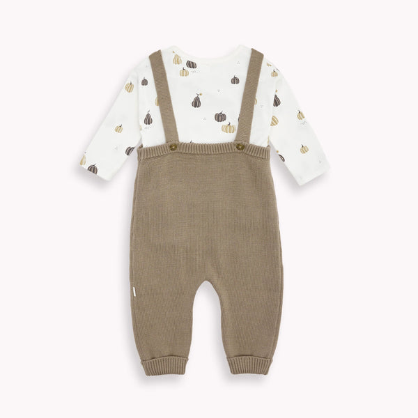 Petit Lem Firsts Pebble Knit Overall Set