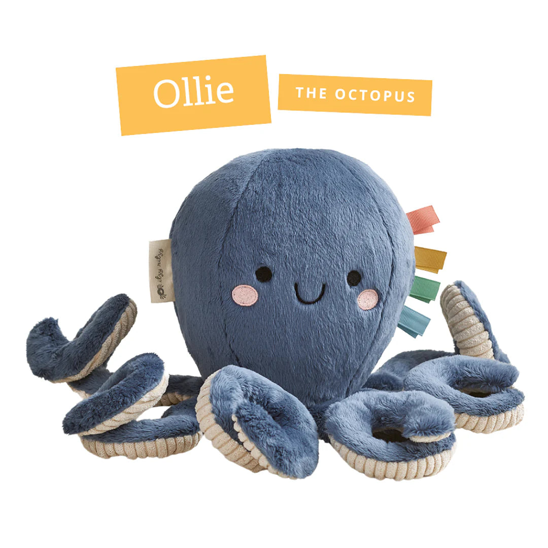 Itzy Ritzy Sweetie Snuggles™ Plush: Ollie the Octopus