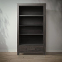 Romina Ventianni Bookcase