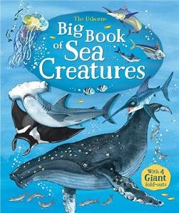 The Usborne Big Book of Sea Creatures Board book