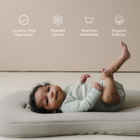 Snuggle Me Organic - Lounger Curve | Birch