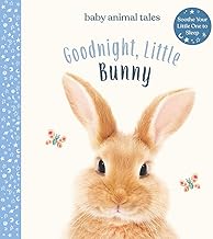 Goodnight, Little Bunny by Amanda Wood