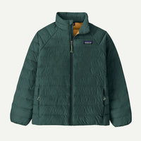 Patagonia Kids' Down Sweater™ Jacket- Cascade Green