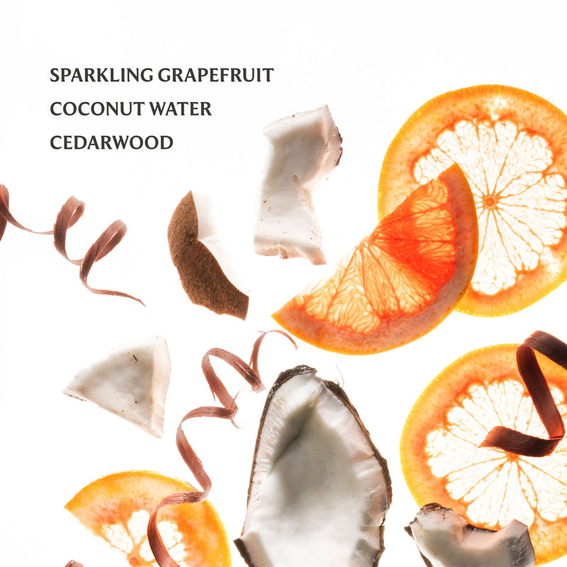 Touchland - Beach Coco Power Mist Hydrating Hand Sanitizer