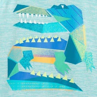 Andy & Evan - Boys Rashguard Set | Geo Gator