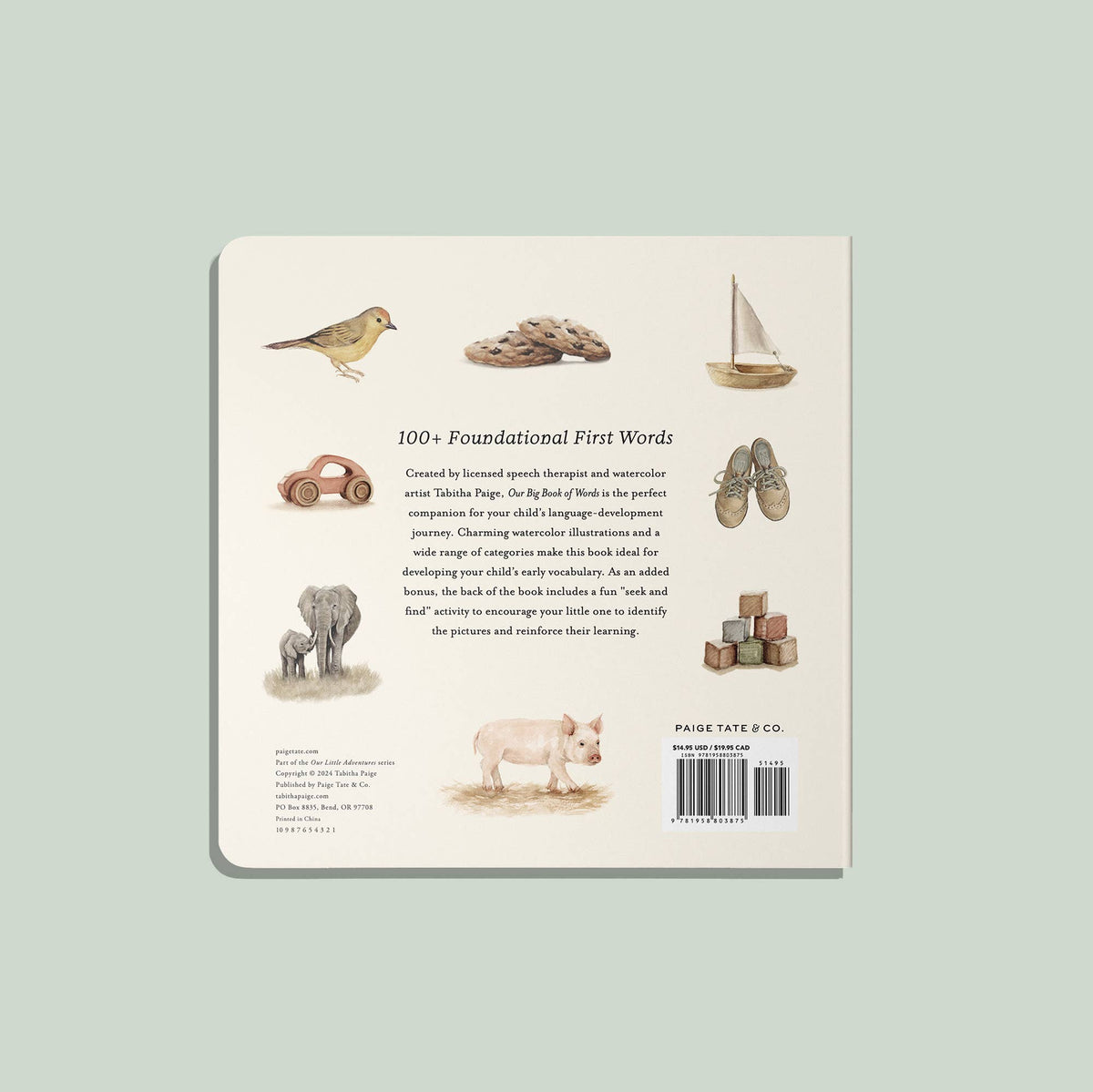 Paige Tate & Co. - Our Big Book of First Words (Board Book)