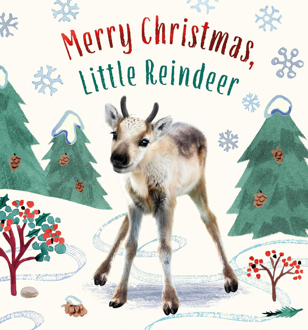 Merry Christmas, Little Reindeer (Baby Animal Tales) Board book