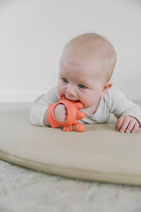 Itzy Ritzy - *NEW* Crab Bitzy Grip™