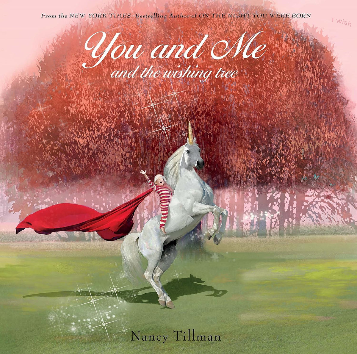 You and Me and the Wishing Tree Board book by Nancy Tillman