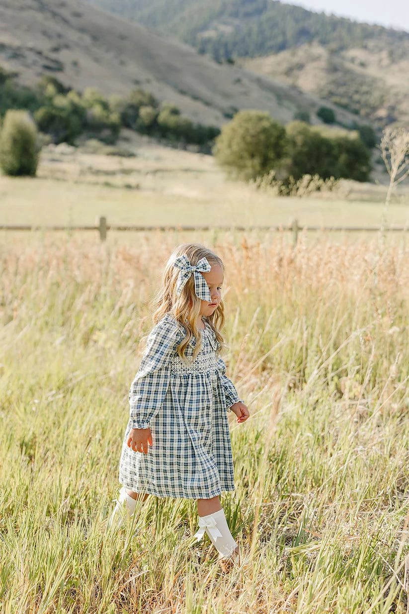 Mebie Baby Blue Plaid Ruffle Collar Dress