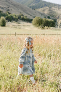 Mebie Baby Blue Plaid Ruffle Collar Dress