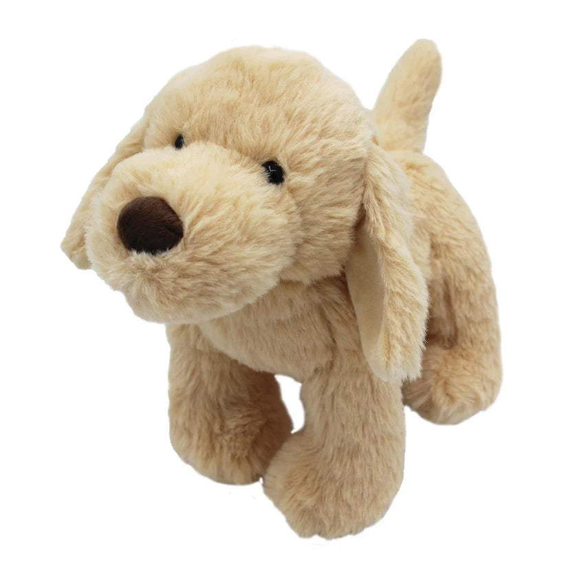 Jomanda Golden Puppy
