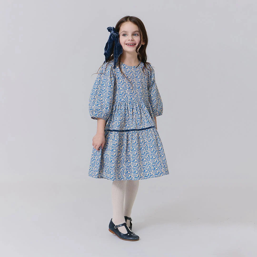 Pink Chicken Girls Maribelle Dress II Blue Climbing Floral
