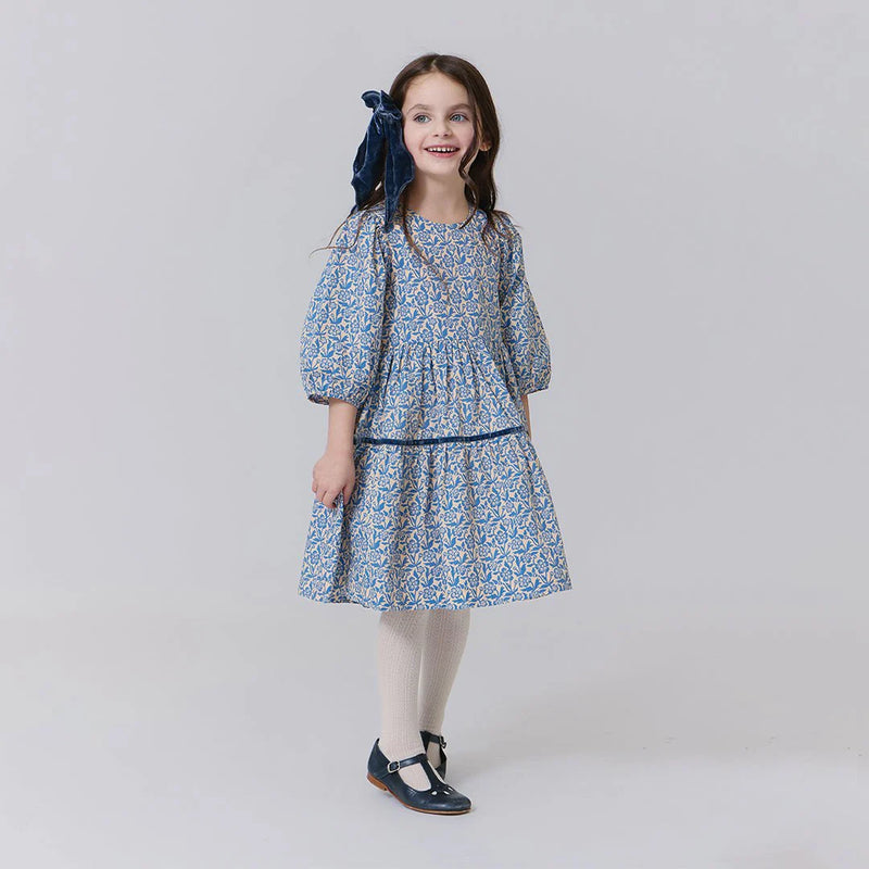 Pink Chicken Girls Maribelle Dress II Blue Climbing Floral