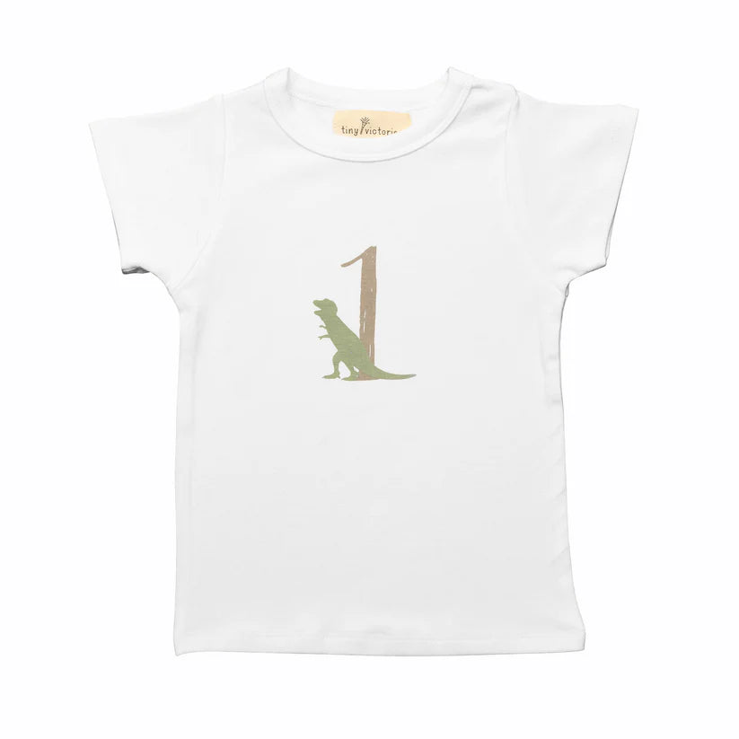 Tiny Victories 1st Birthday Dinosaur T-shirt