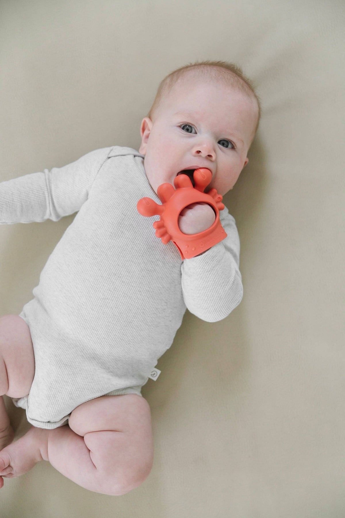 Itzy Ritzy - *NEW* Crab Bitzy Grip™