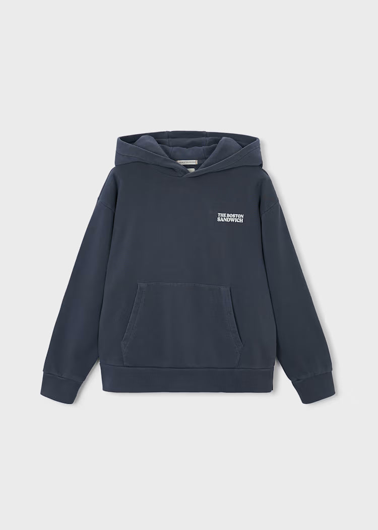 Boston Kids Graphic Hoodie- The Boston Sandwich