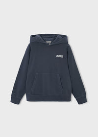 Boston Kids Graphic Hoodie- The Boston Sandwich