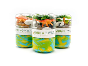 Young + Wild and friedman Grab & Go Sensory Dough Kit