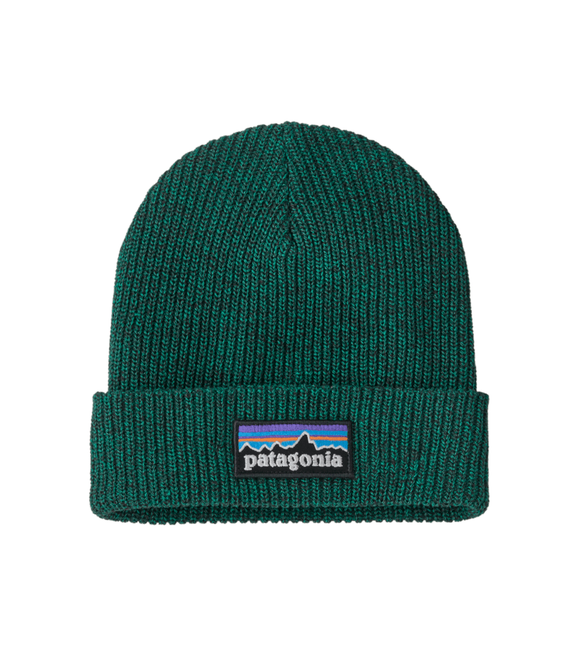 Patagonia Kid's Logo Beanie