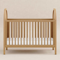 Babyletto Bondi Cane 3-in-1 Convertible Crib with Toddler Bed Conversion Kit