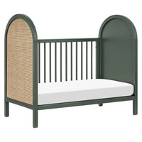 Babyletto Bondi Cane 3-in-1 Convertible Crib with Toddler Bed Conversion Kit