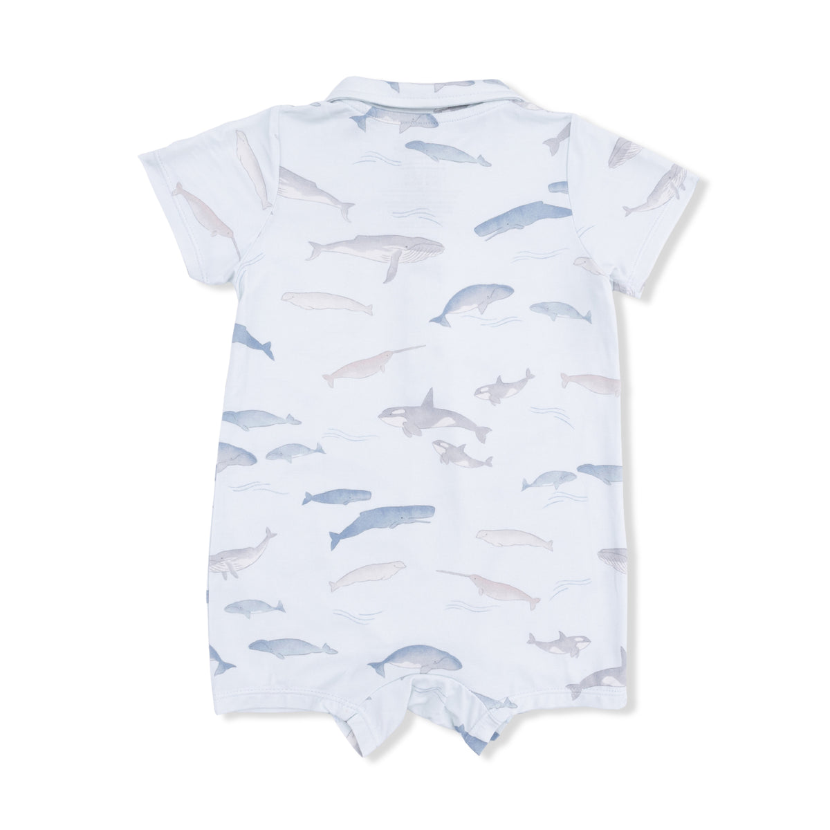 Angel Dear Little Whales - Polo Shortie