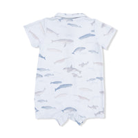 Angel Dear Little Whales - Polo Shortie