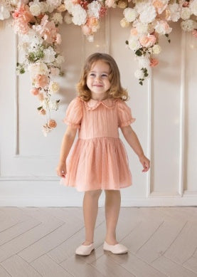 Isobella and Chloe Pitter Patter Dress- Pink