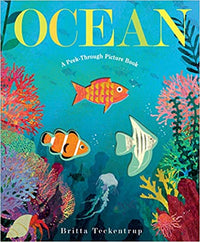 Ocean a Peek Through Ocean Activity Book by Britta Teckentrap