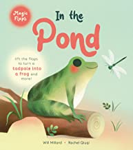 In the Pond magic flap book by Will Millard