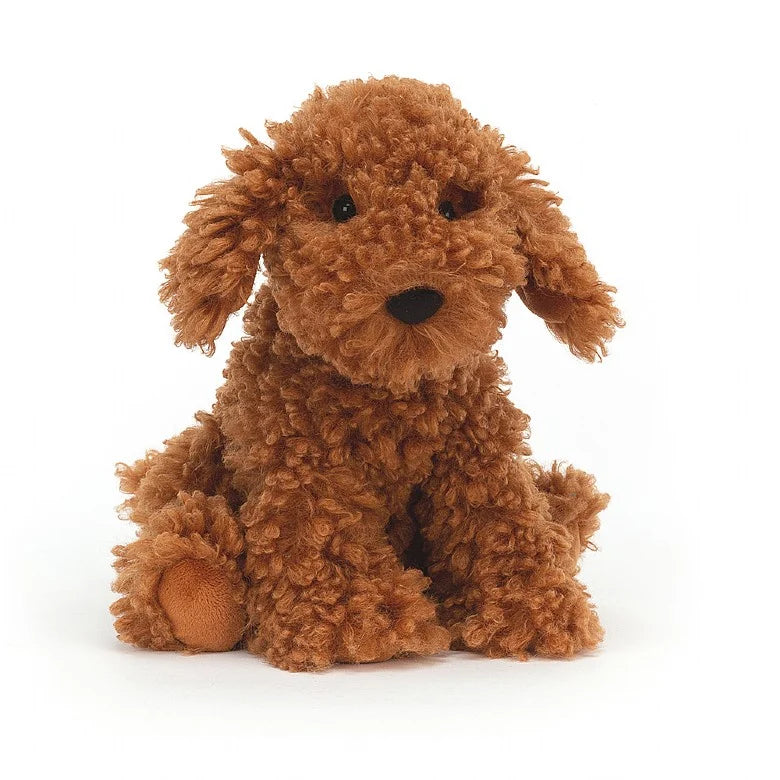 Copper toy poodle online