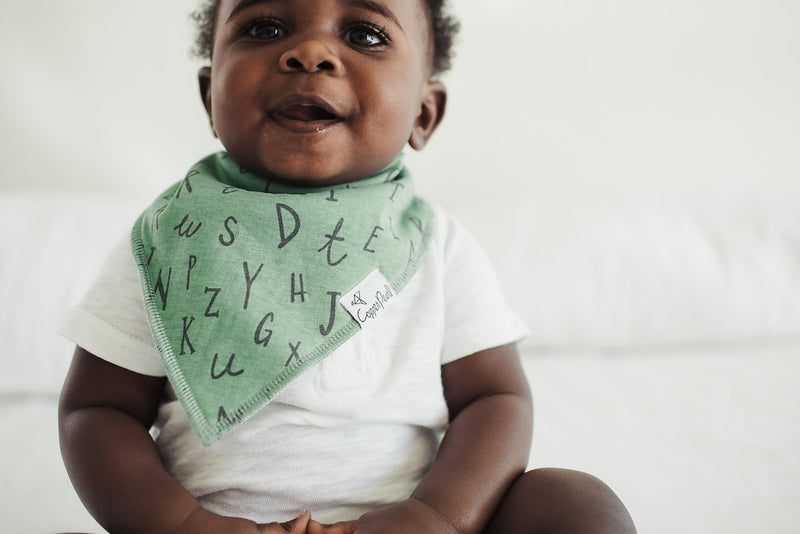 Copper Pearl Baby Bandana Bibs - Chip