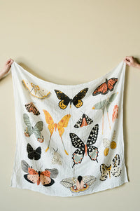 Clementine Kids Swaddle Blanket- Butterfly Collector