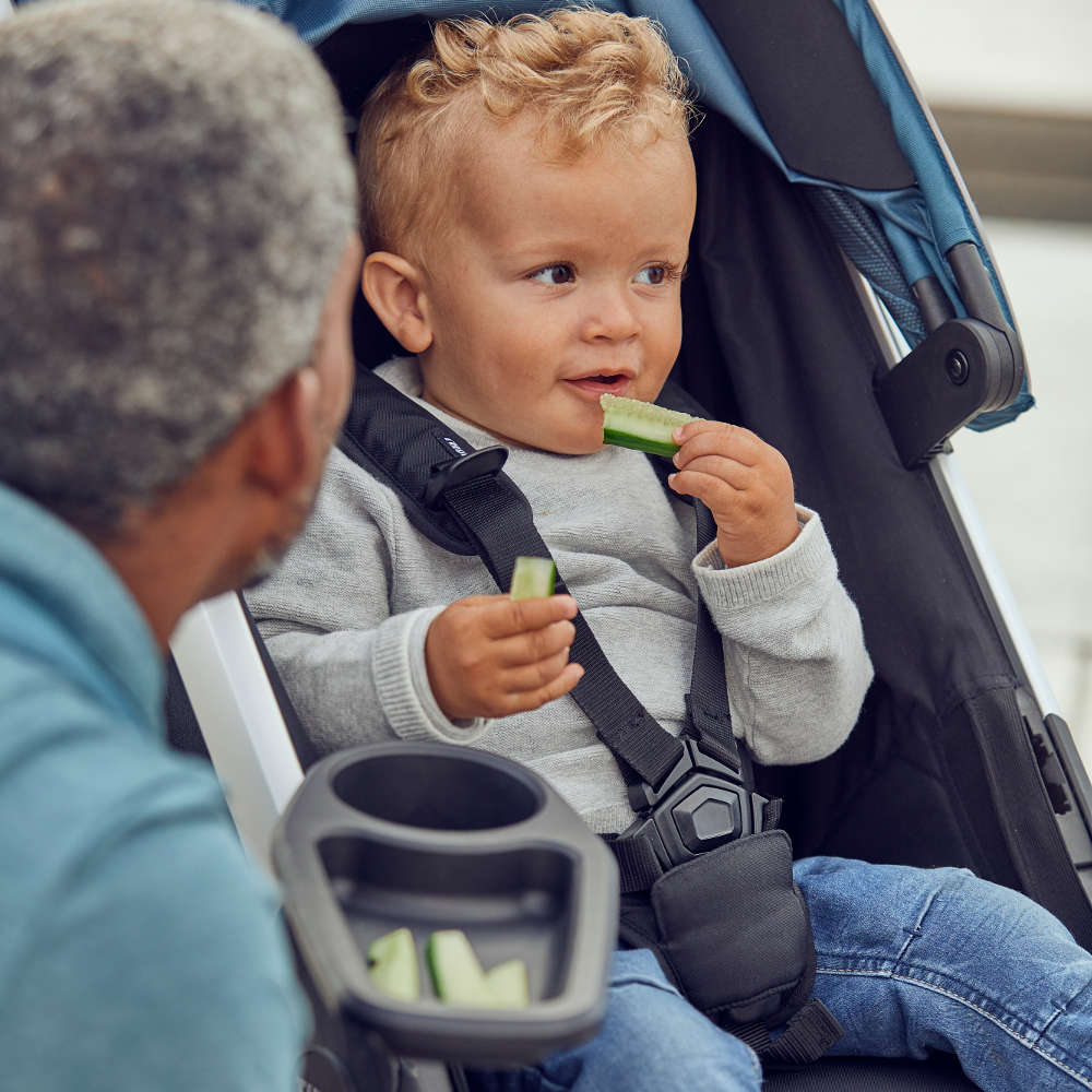 thule stroller tray Thule Spring Snack Tray – Baby Go Round, Inc