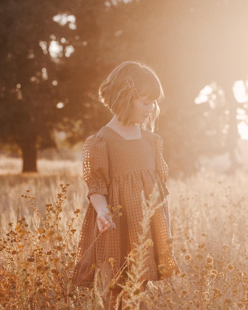 Noralee - Quinn Dress- Golden Check