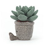 Jellycat Silly Succulent Azulita