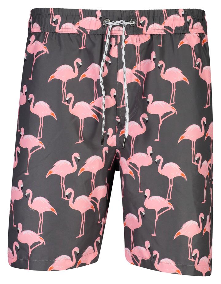 Snapper Rock Mens Social Boardies - Compass