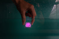 Glo Pals Light Up Cube - Lumi (Purple)