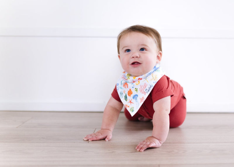 Copper Pearl Baby Bandana Bibs - Nautical